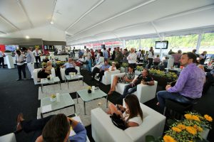 Belgium - Paddock Club