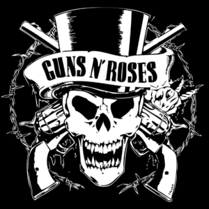 Guns N' Roses Wembley Level 2 Premium Executive Seat (C2)