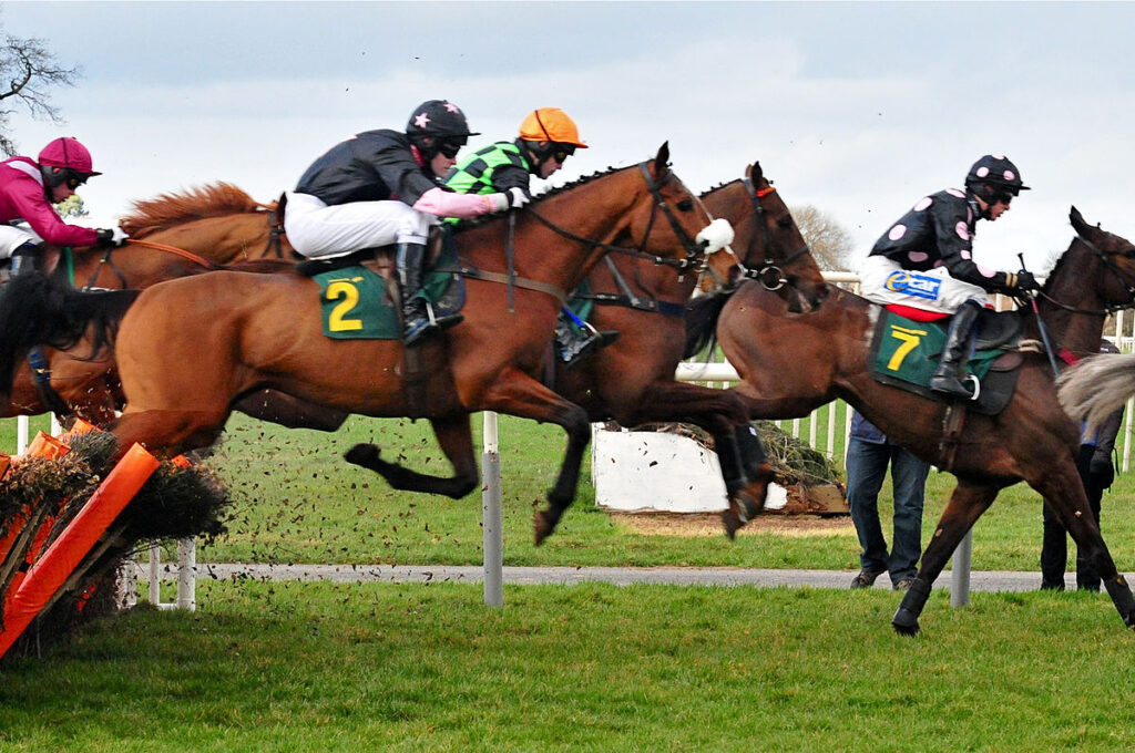 Horse racing VIP packages