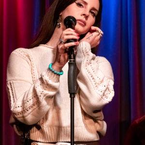 Lana Del Rey Club Wembley seats